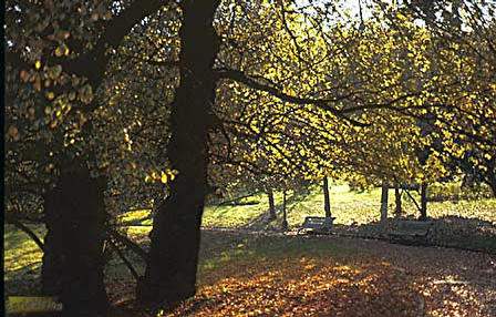 Jardins_Mossen_Cinto1