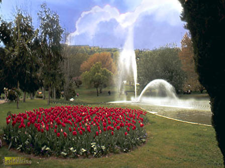 Jardins_Mossen_Cinto2