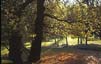 Jardins_Mossen_Cinto1
