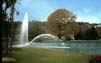 Jardins_Mossen_Cinto3